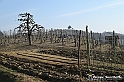 VBS_1081 - Santo Stefano Roero